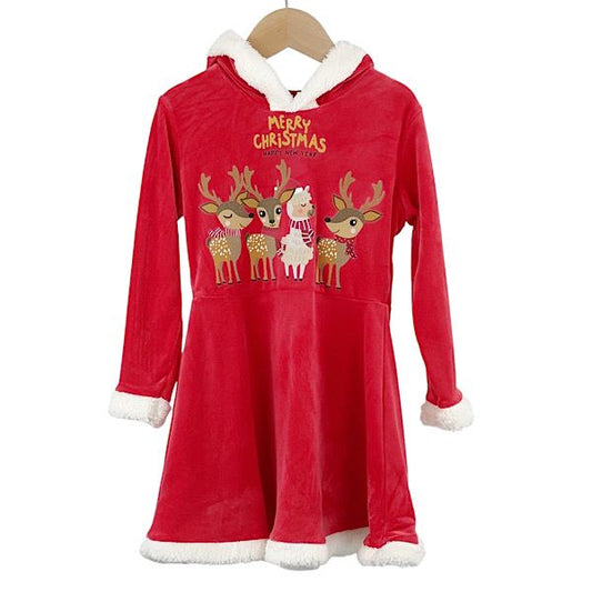 Santa Christmas dress