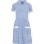 Gingham school summer dress