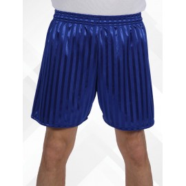 School PE shorts