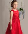 Christening Dress